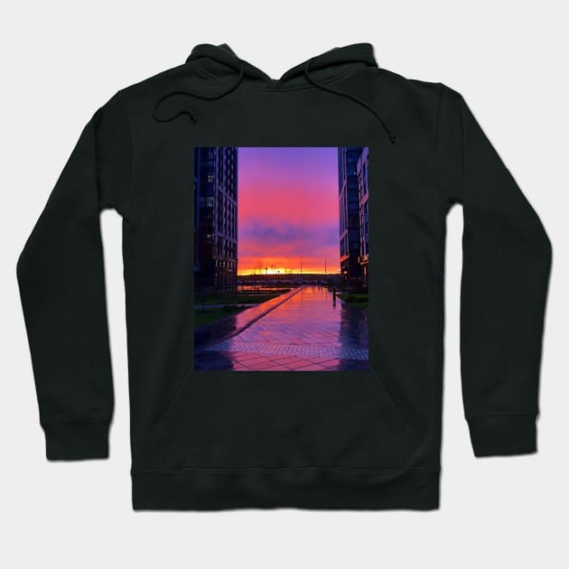 Sunset Hoodie by Taraslava Milasyk